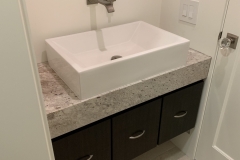 Guest Bath Renovation and Remodel